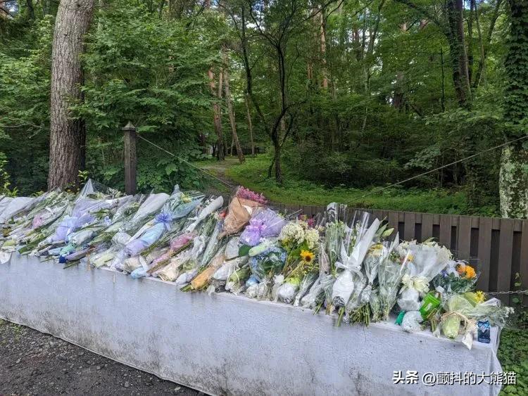 安倍昭惠会继承安倍遗产吗,安倍晋三有财产和子女吗