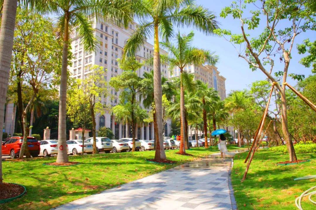 高颜值健身型男究竟怎么炼成的,高颜值是怎么形成的