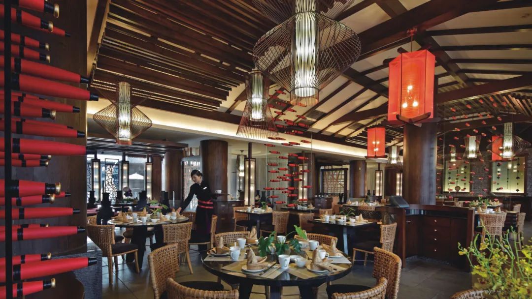 彩云之南雪山之巅,邂逅丽江慢时光