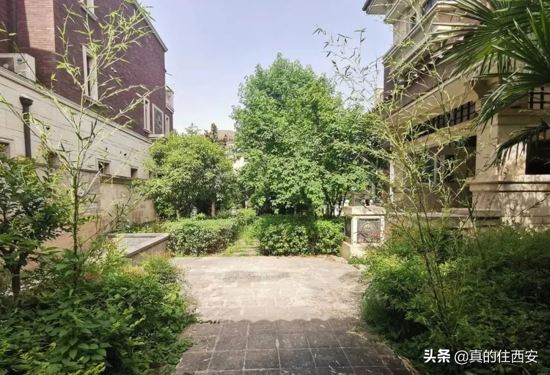 西安中大国际九号二手房,西安高新区中大国际在售房子