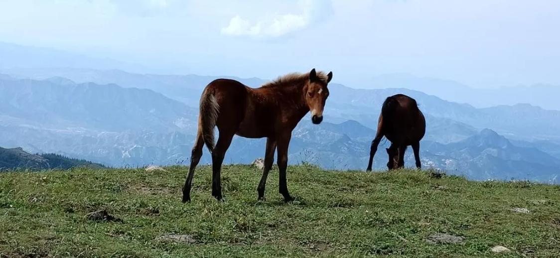 黄山景点关闭最新消息,黄山冬季关闭景区