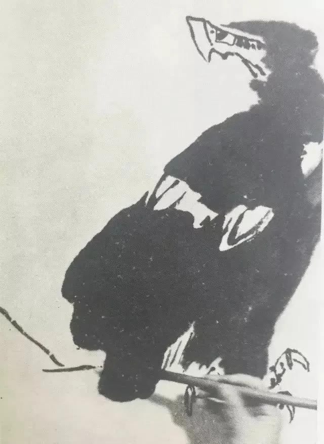 国画大师李苦禅一步一步教你画“四绝神鹰”，经典好学