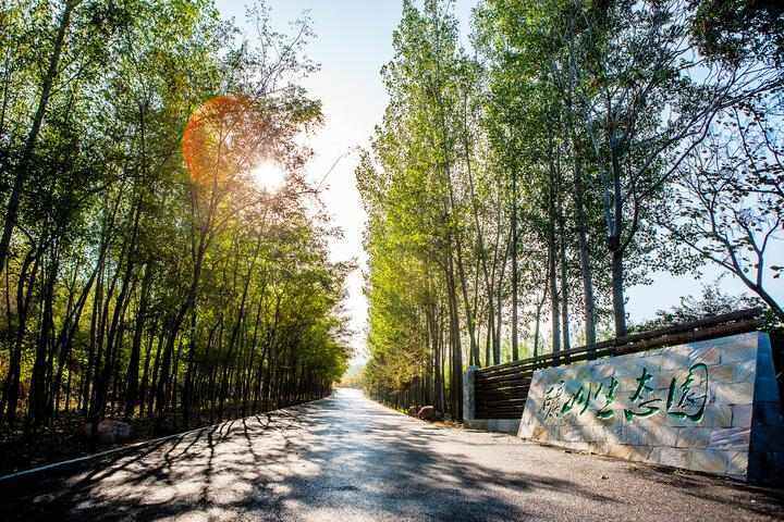 提高城市空气质量的有效方法,空气质量提升