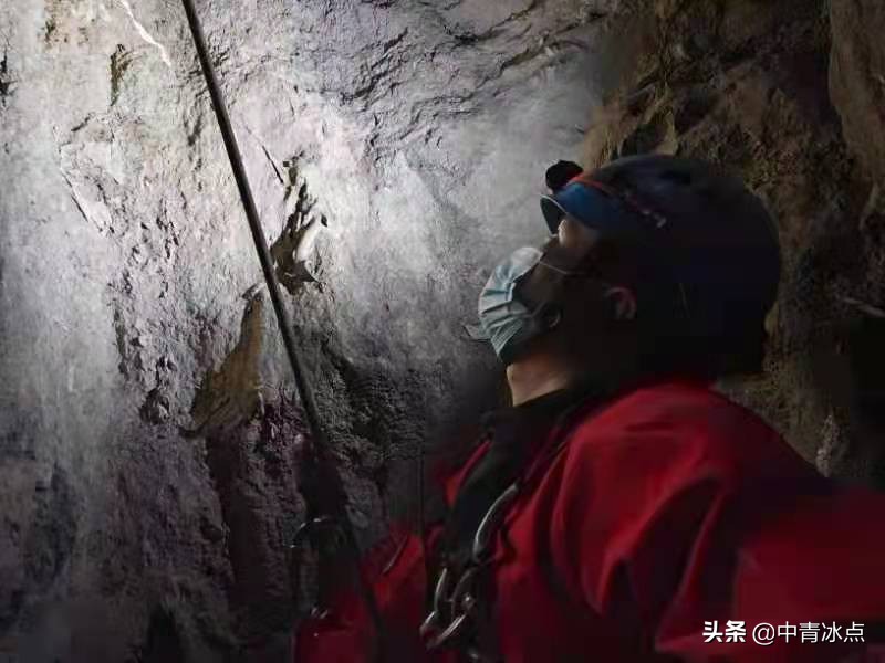 “救人都没这么大动静”，云南曲靖小狗掉入深洞数年后被救，救援队往返3000公里，下洞12次，引数亿网友围观