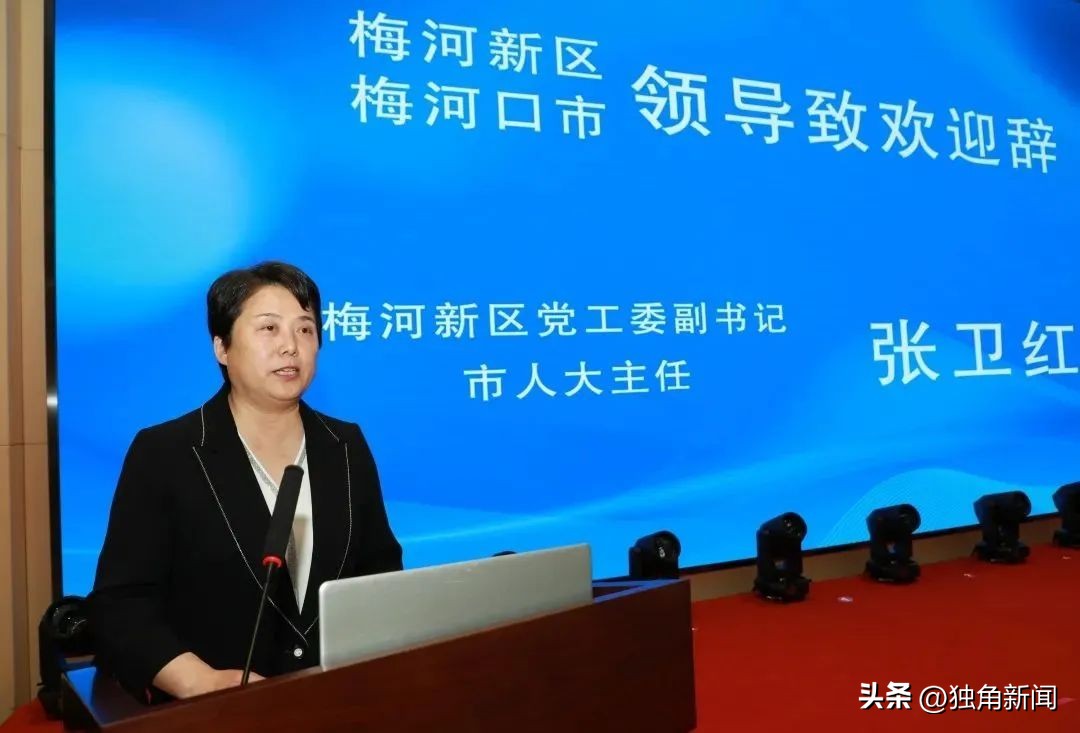 首届广西两山发展论坛,两山发展论坛视频