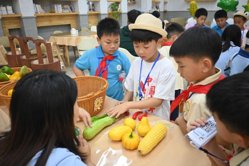 大渡口育才双山实验小学,大渡口区双山实验小学图片