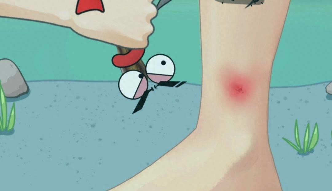 蚂蟥爬进眼睛怎么自救,被蚂蟥咬住怎么办