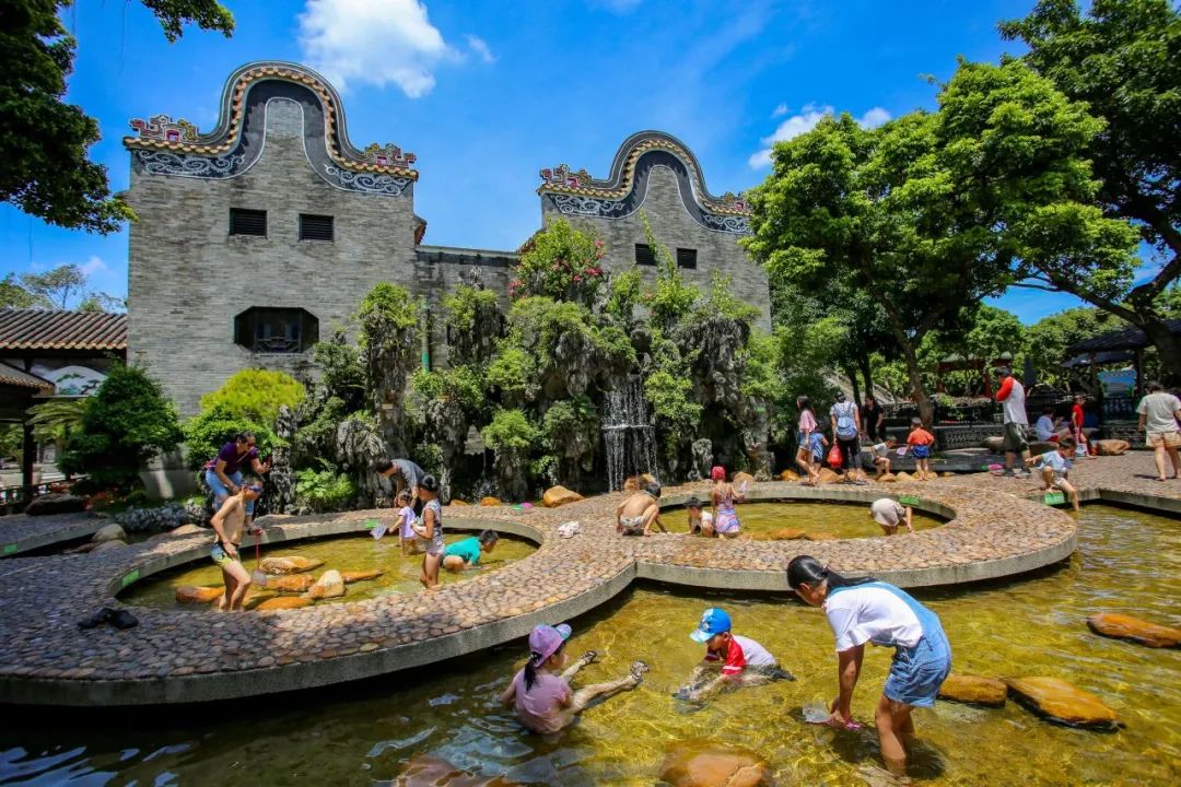 盛夏赴一场荷香之约,与夏天来场清凉的约会