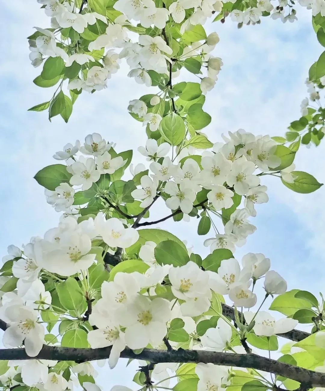 五一松原一日游,五一松原出发2-3天短途旅游