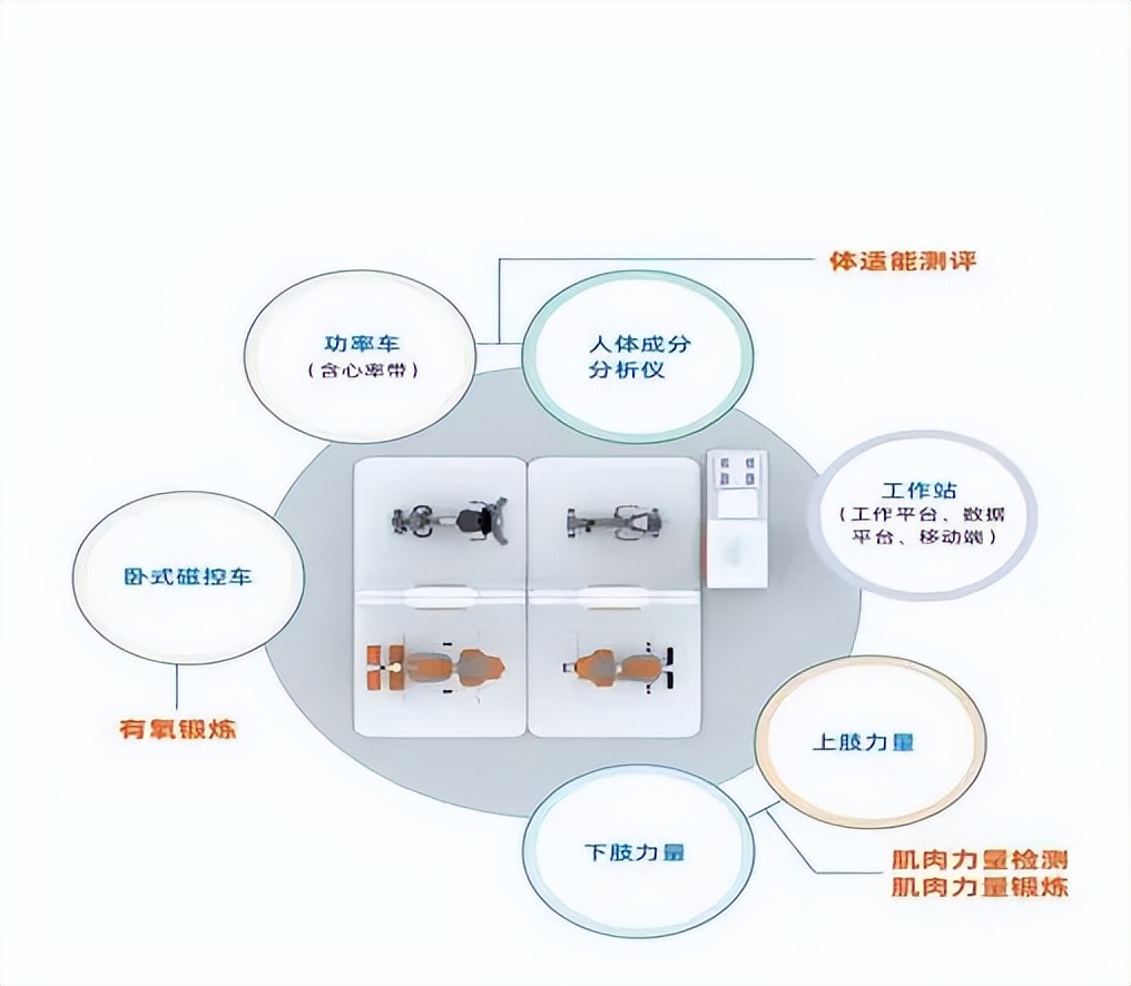 老年病的运动处方,防治和康复性运动处方