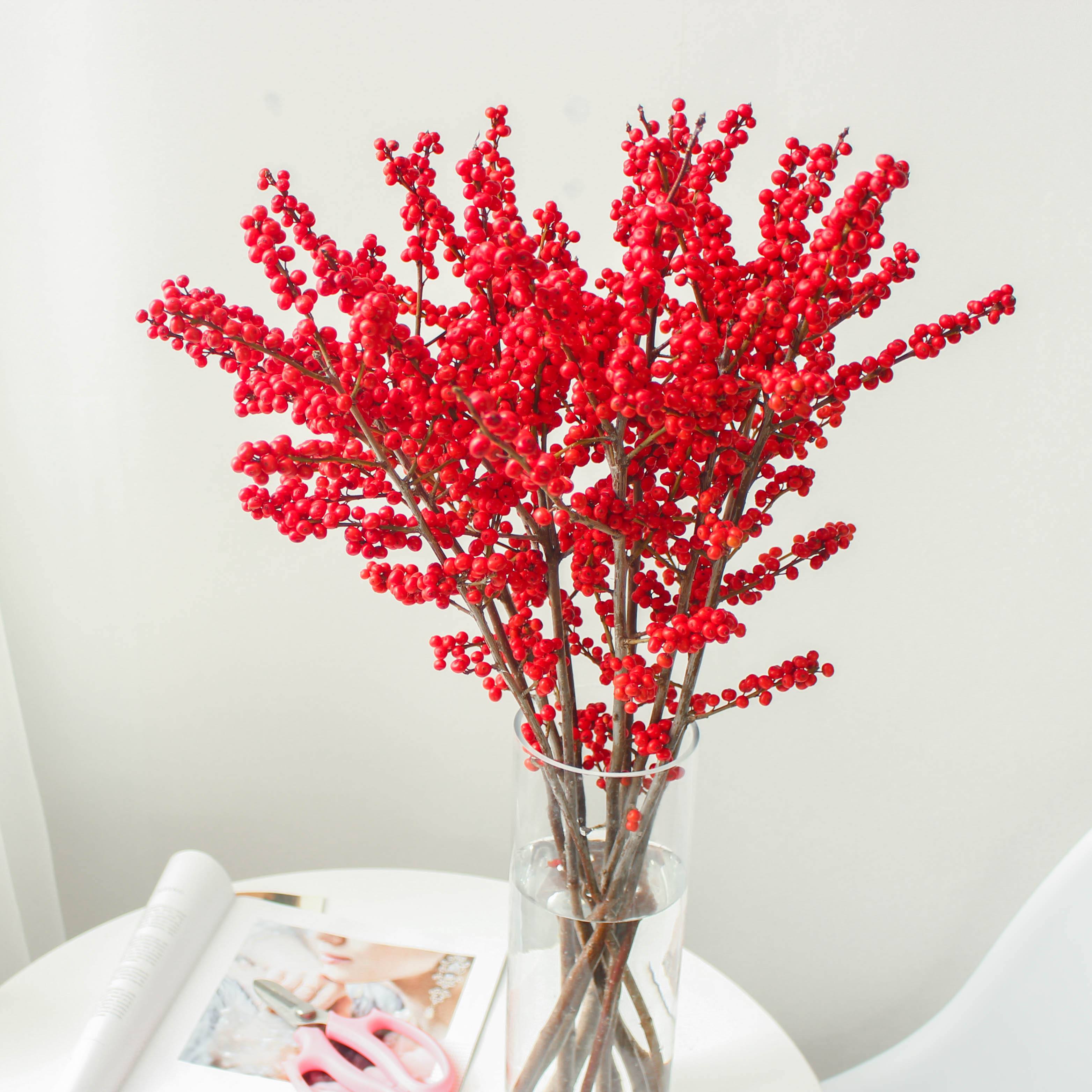 10种名贵花,什么名贵的花最好养