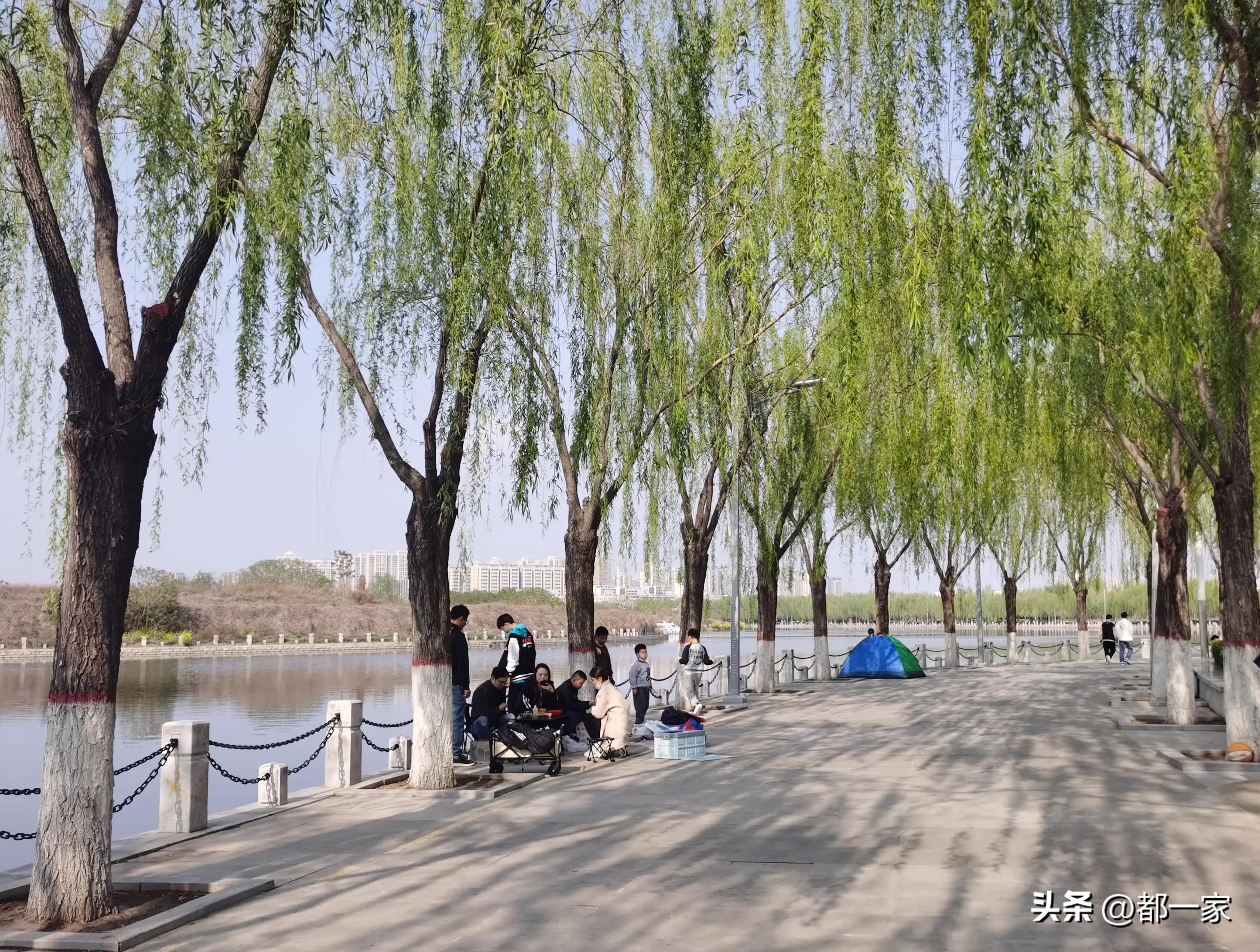 郑州须水河湿地公园,郑州索河湿地公园网红打卡地