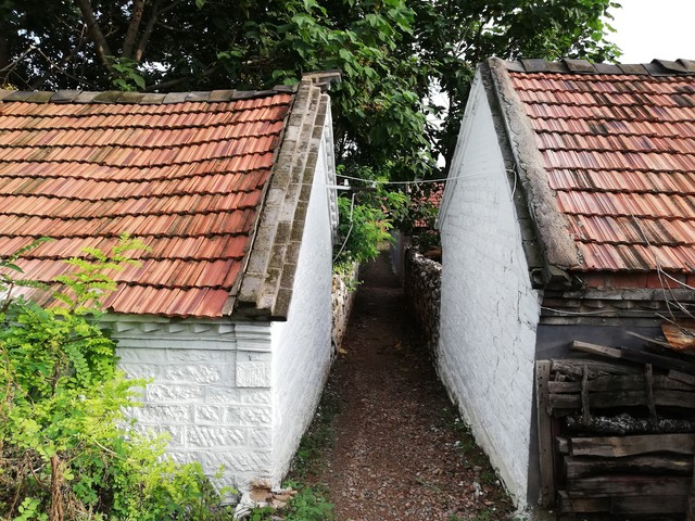 给儿媳妇一万过年,给儿媳妇一万红包