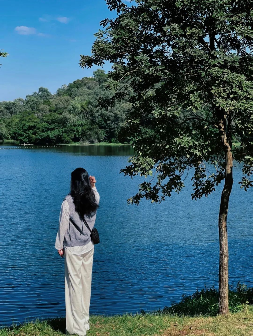 广东阳江幸福宜居之城,泸州最宜居的地方