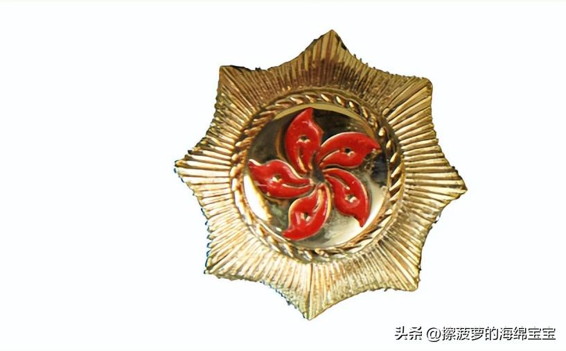 香港海关的公务员工资,香港海关关长工资