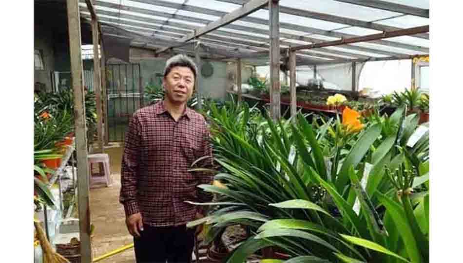 魔力照相机的用途,摄影的魔力