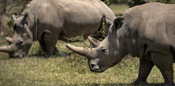 买饰品后被判刑,昆明一女子购买吊坠被判十年