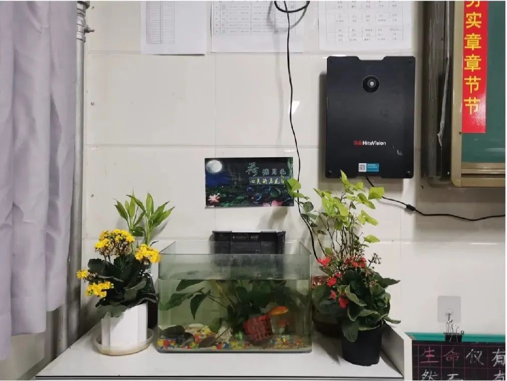 《班级公约》晒出来，班级风采秀出来——实验中学八7中队