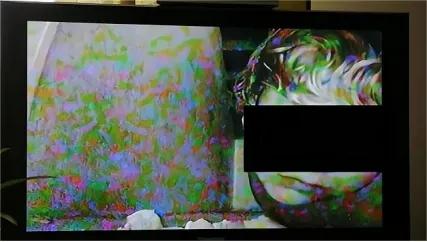 2007年捷克虐童案,捷克虐童案