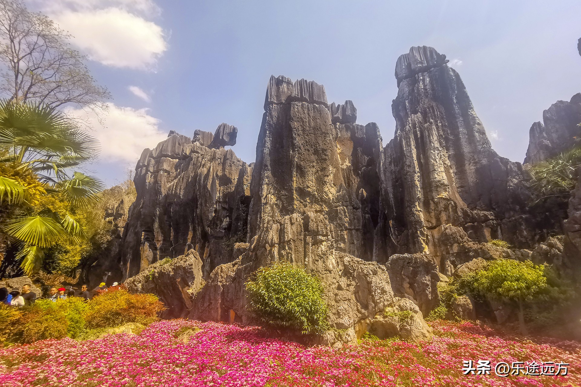 为什么一定要去云南,去昆明一定要去石林吗