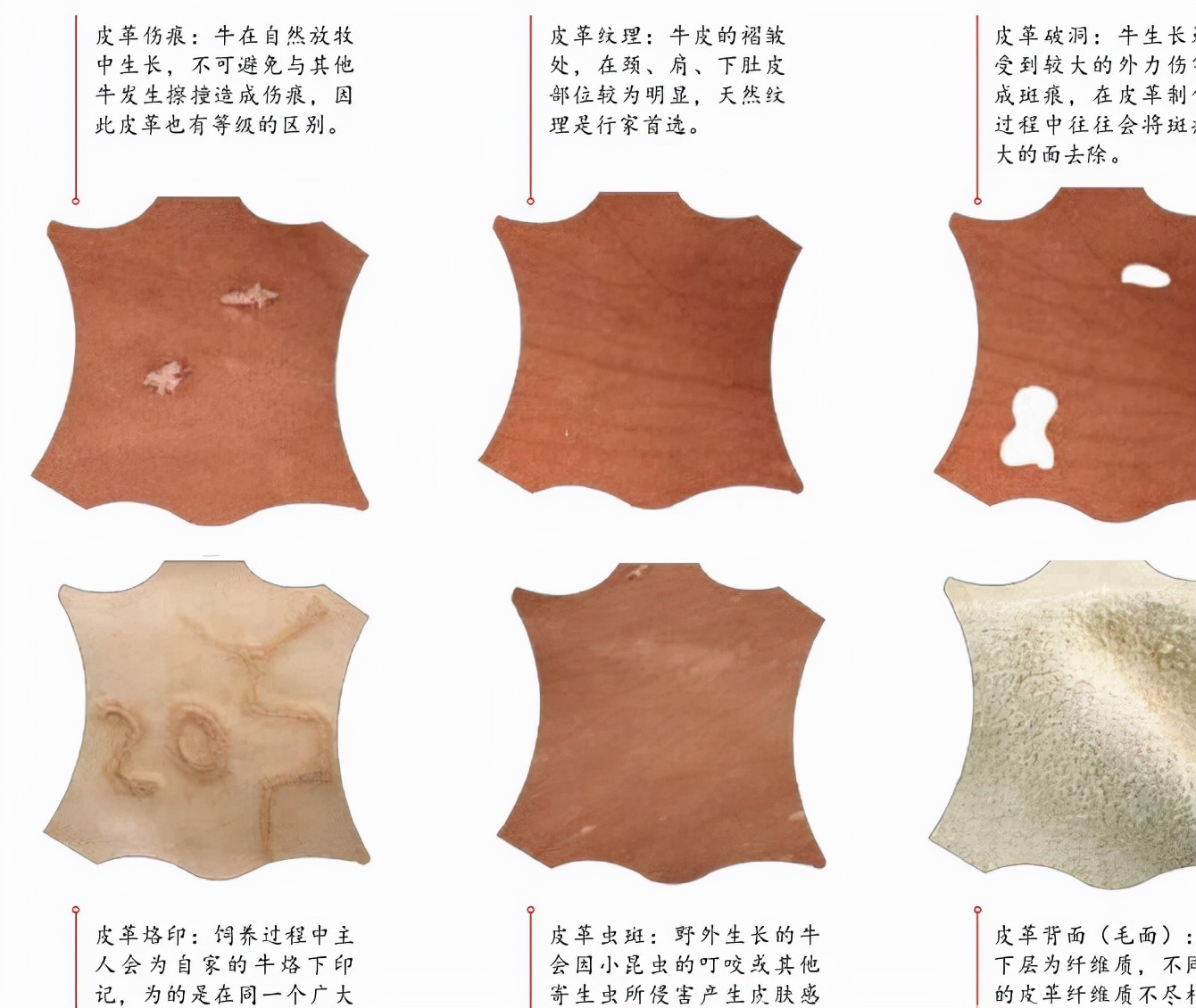 苯胺皮属于真皮里什么档次,苯胺皮和其他皮革的区别
