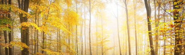 民间纪实故事｜女孩与健身男两天上床半月同居染性病，律师说：该