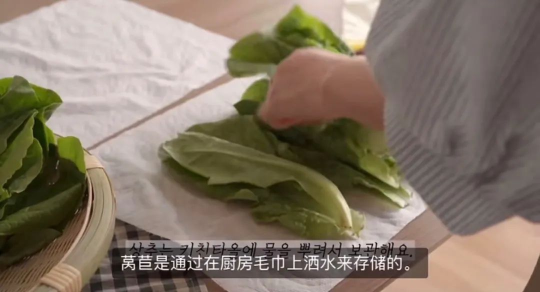 买一次蔬菜吃一个月,日本人如何备菜一周保存