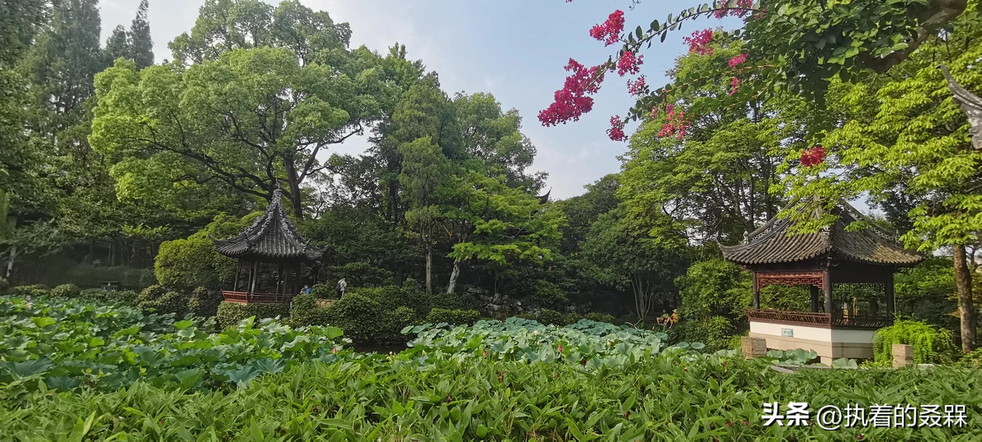 上海市五大古典园林之一曲水园,上海五大古典园林