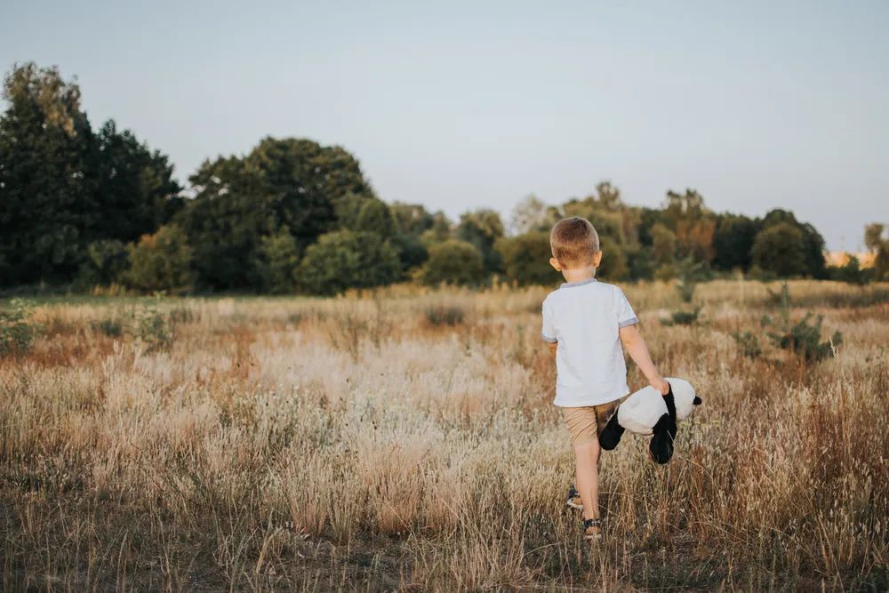 33岁我放弃了年薪百万的工作,我放弃了工作拿着所有积蓄做什么