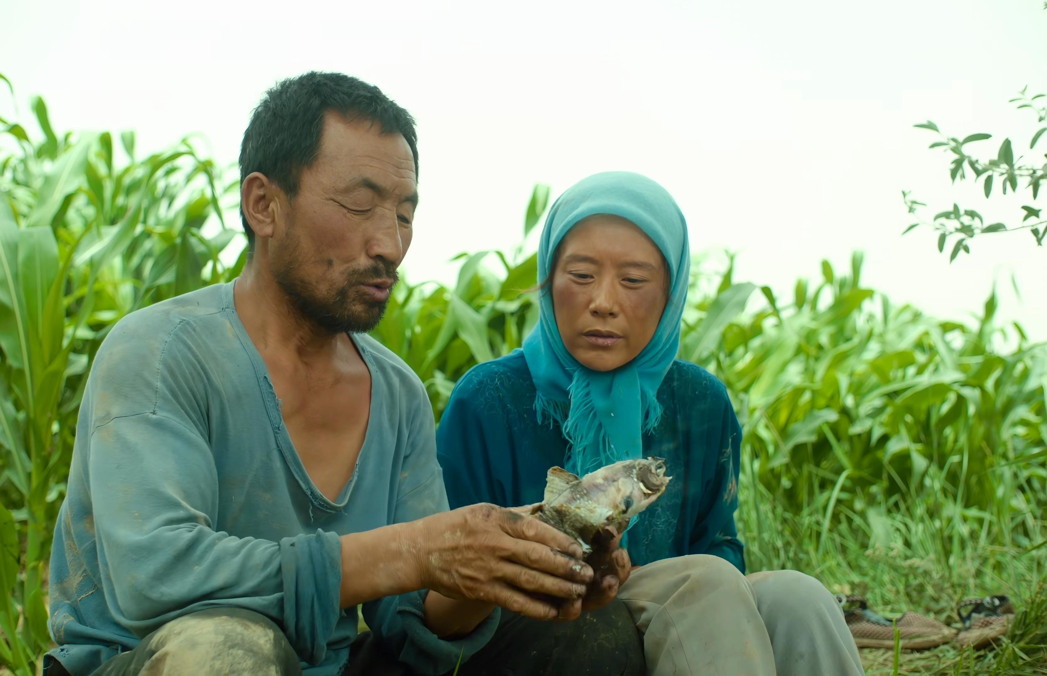 现实版隐入尘烟视频,隐入尘烟事件