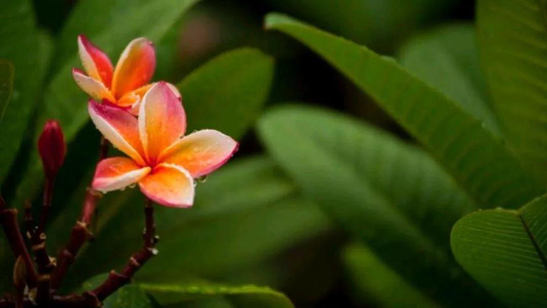 强迫症必知的10个小技巧,强迫症有什么表现带你了解强迫症