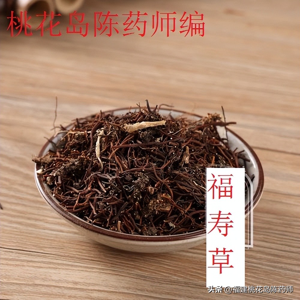 有毒的植物和解毒的草药,植物有毒药材名称大全