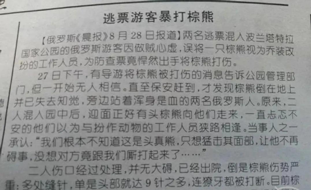 俄罗斯俩逃票游客暴打棕熊,两俄罗斯人逃票误将棕熊打成重伤