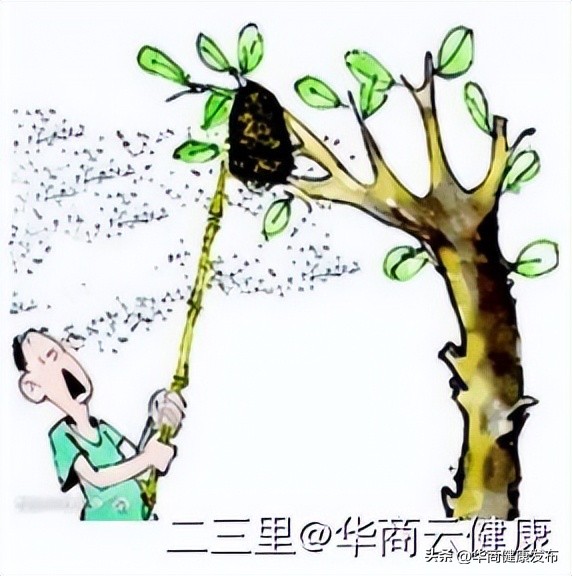 实用知识：赏花被蜂追，摆啥姿势安全？