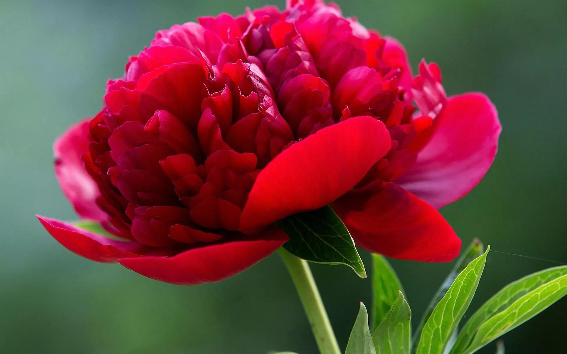 电子厂干了十天临时工，只发了164元，无奈之下我举报到了劳动局