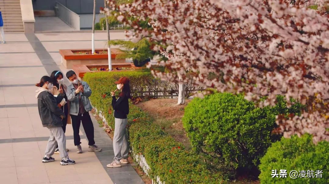 共赴春之约携手新征程,共赴春天之约携手砥砺前行