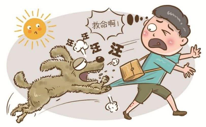 狗狗患上狂犬病的六种表现,狗狗出现什么症状说明是狂犬病