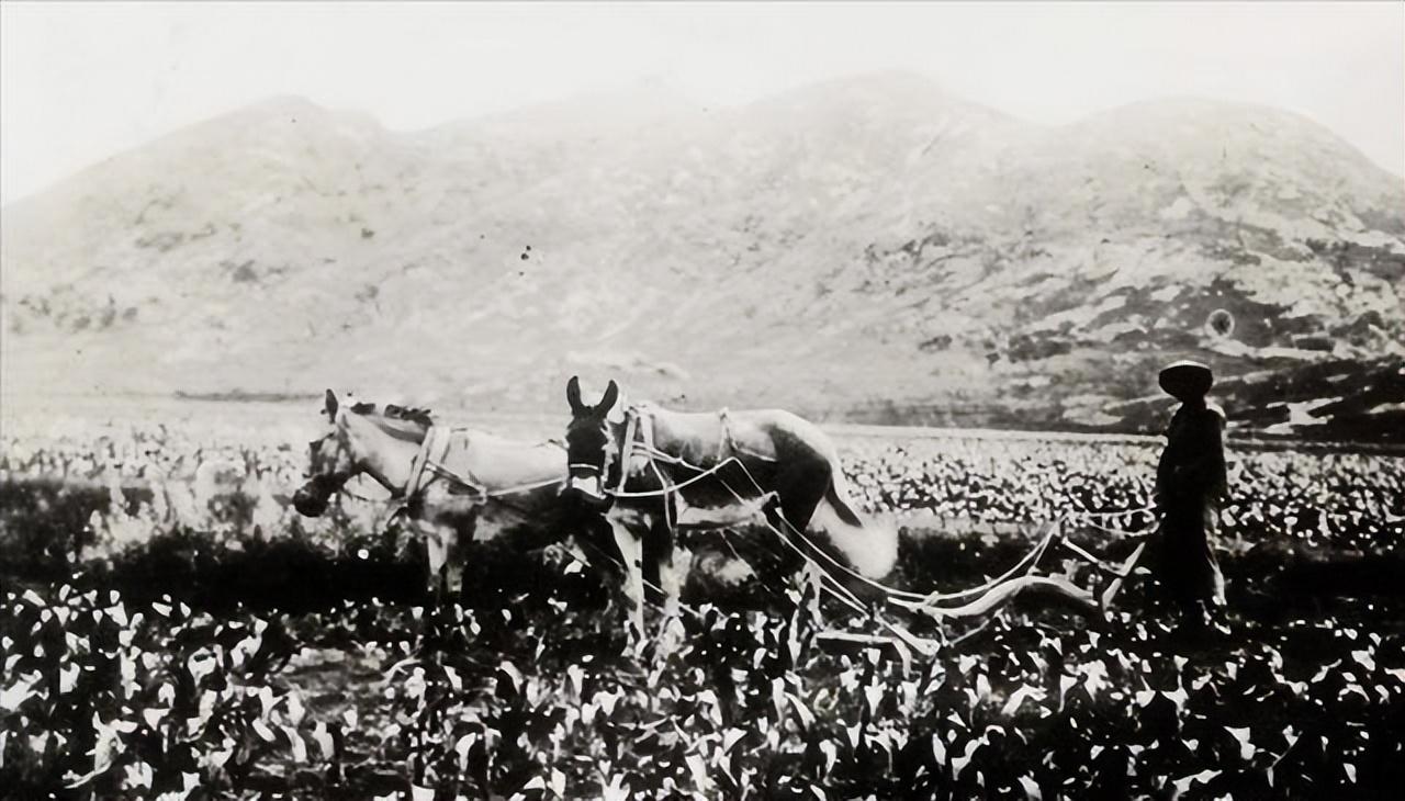 鲁迅闰土逝世时间图片,鲁迅儿时玩伴闰土的后人现在咋样