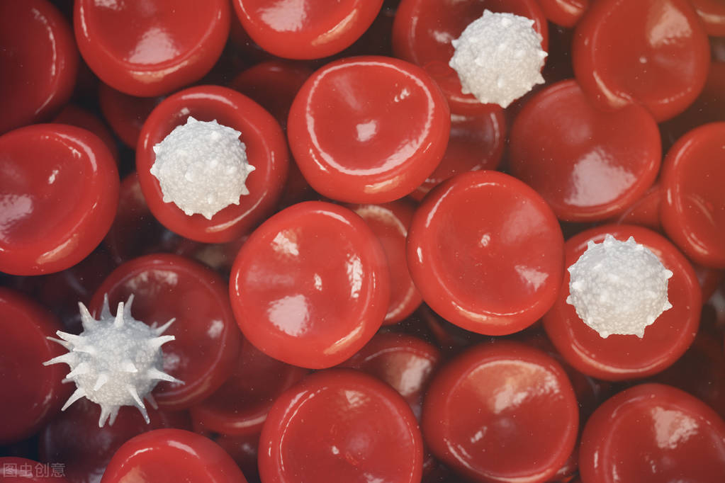 白细胞升高有可能是病毒感染吗,肺部感染会引起白细胞升高吗