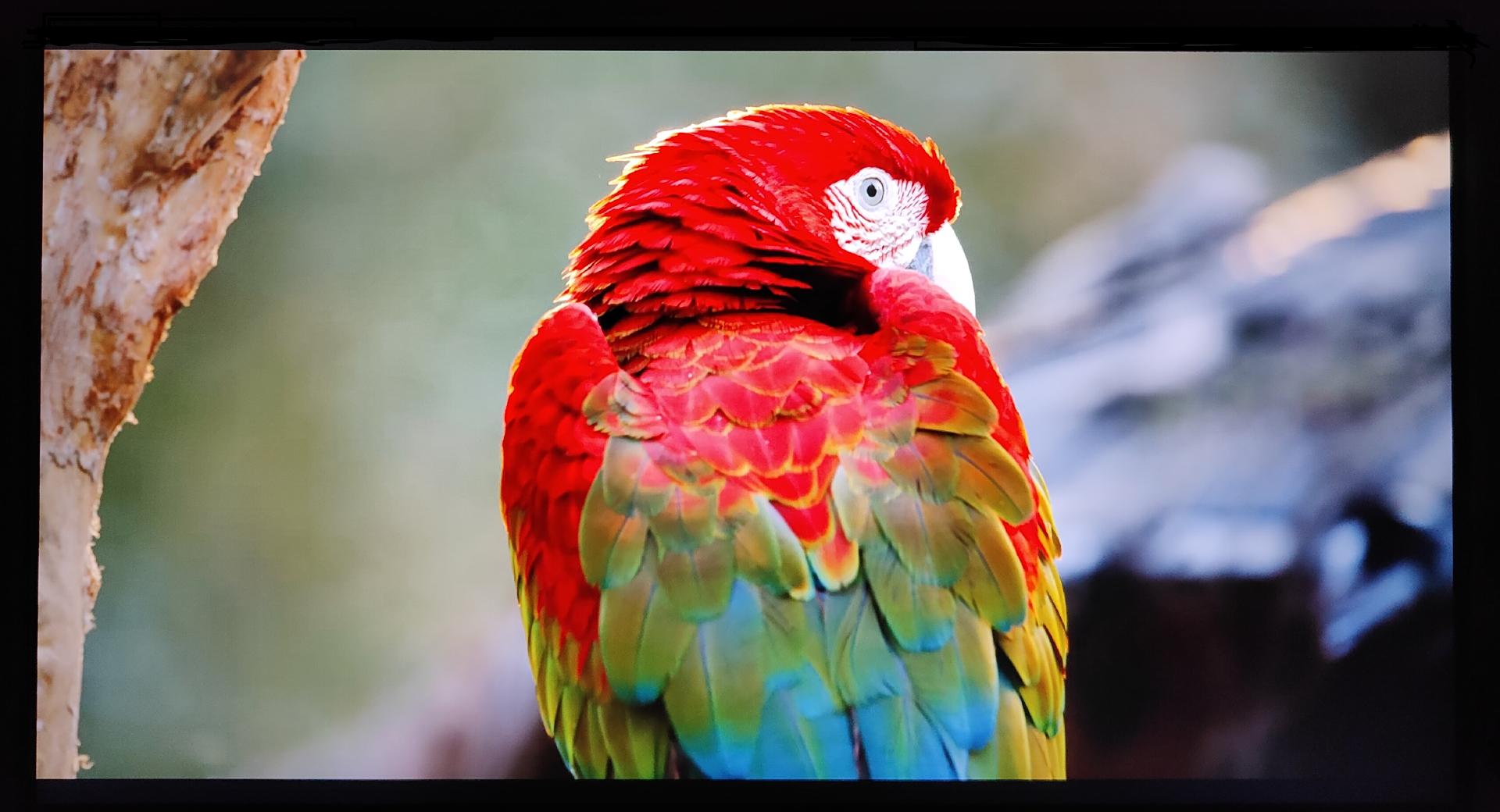 闅忔椂闅忓湴瑙傚奖,闅忔椂闅忓湴鐪嬬數褰辩殑鎰熷彈