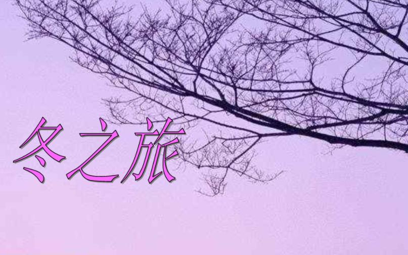 冬季的诉说聆听舒伯特《冬之旅》,舒伯特冬之旅是艺术歌曲还是歌剧