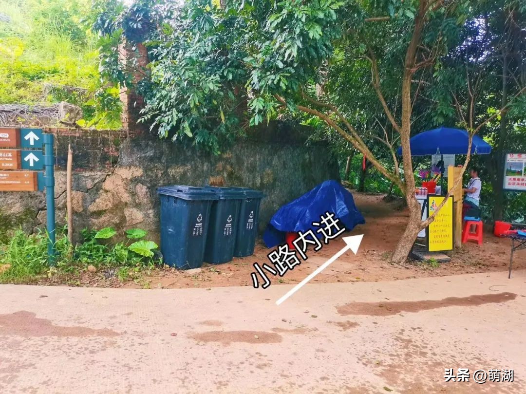 广州这个竹林溯溪胜地玩水,清凉避暑好去处山洞里一起来玩水