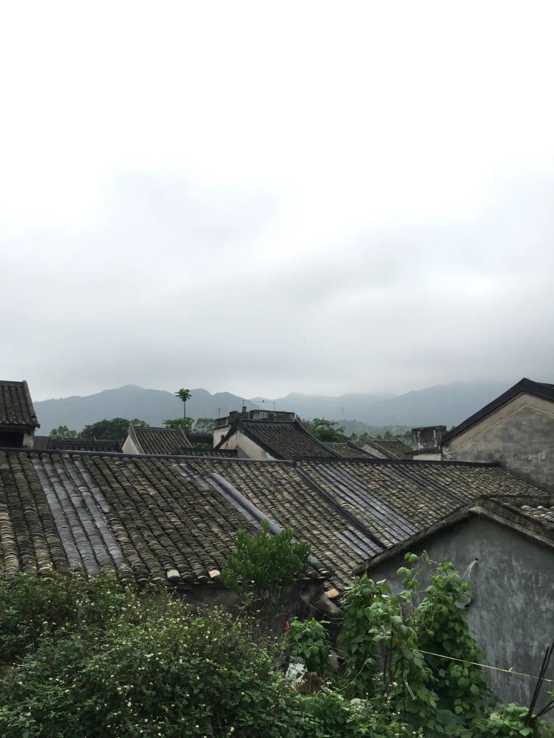 《旭光骑行深圳》第19站——大鹏新区大鹏街道