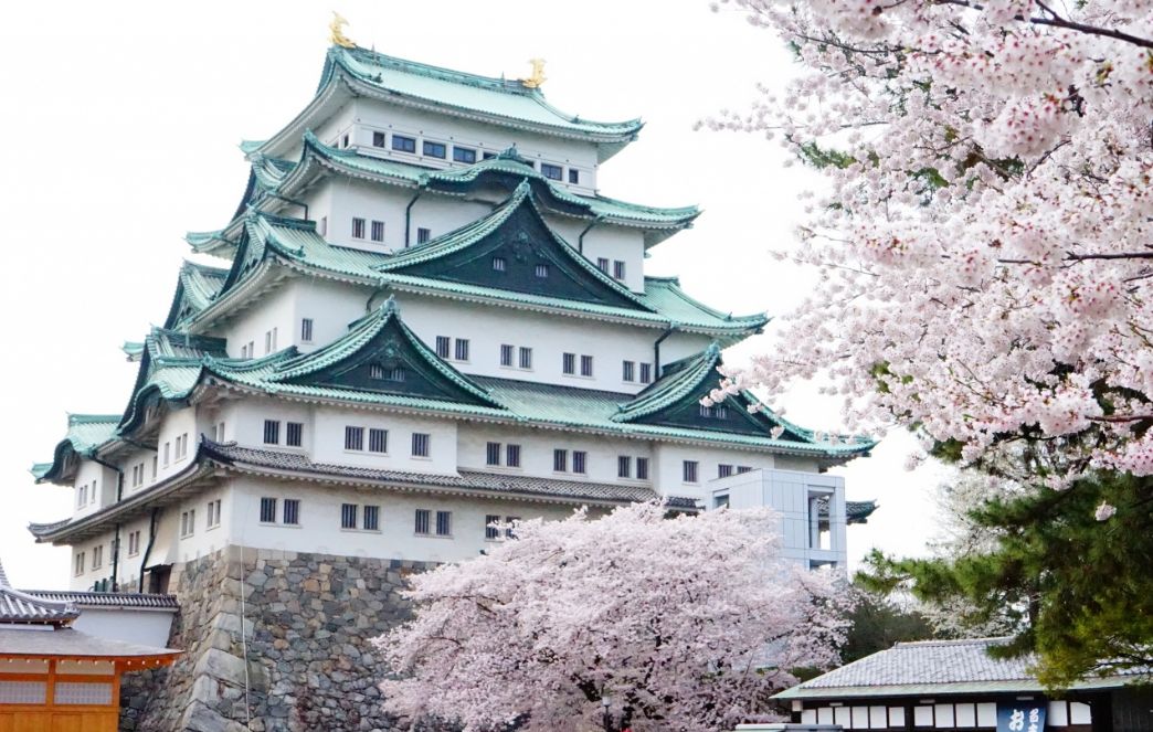 如何办理日本签证条件最新,日本签证怎么办理最简单的手续