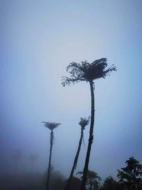 北碚三圣龙王村,重庆北碚山水龙王村