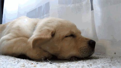 十一长假早已不像你想象中的图片,十一长假壮观景象