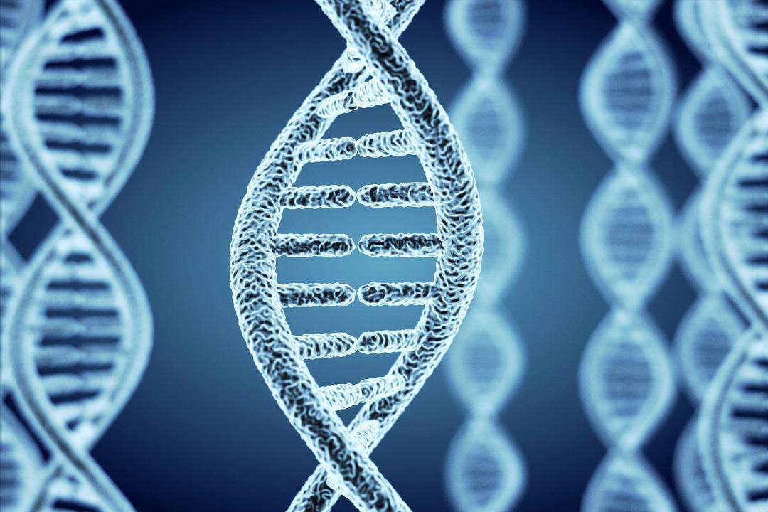 女生隐私部位的毛发变白，别急着除掉，先了解背后的原因！