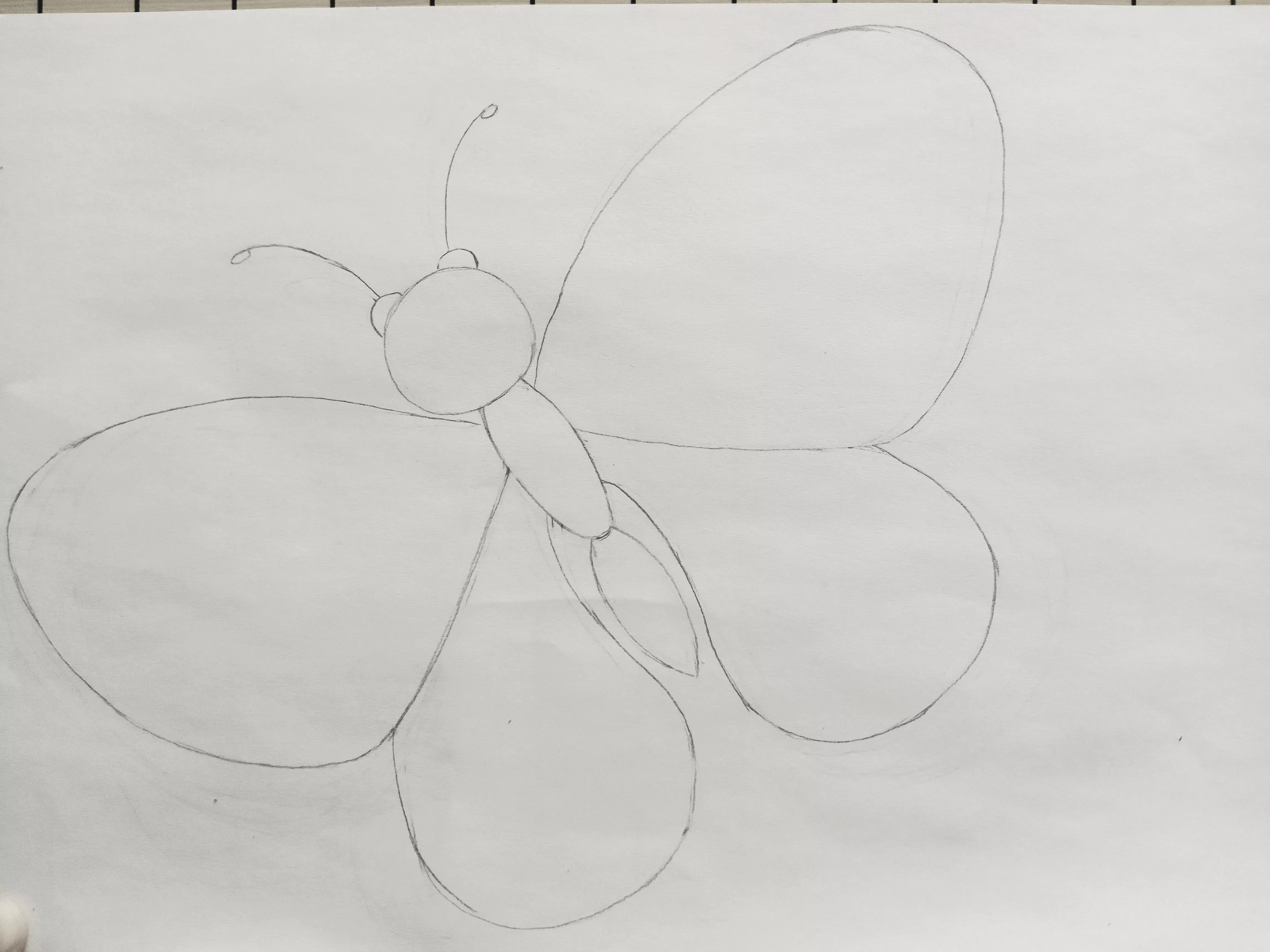 蝴蝶线描画绘画过程,绘画蝴蝶教程线描画