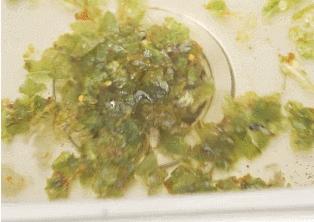 下水道堵塞自己怎么通,下水道堵了管道复杂怎么通