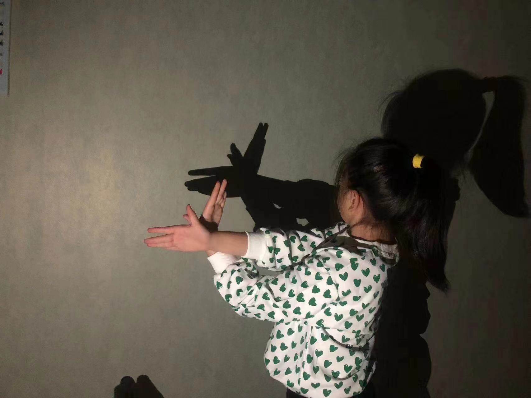 地球一小时20万盏灯熄灯,太阳熄灭十秒钟地球会怎么样